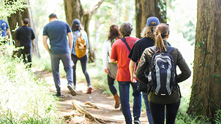 Default Alt Text for Preview Image