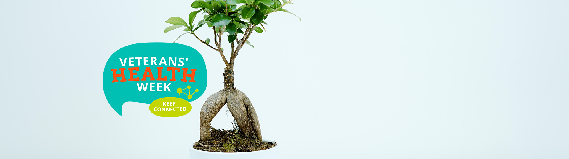 Bonsai Veterans' Health Week Mates4Mates